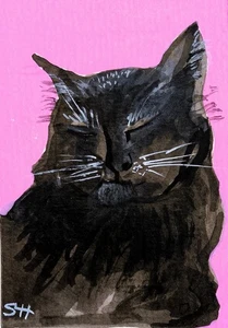 Original signed ACEO Collectors Art. Moody Cat Pink/Moody Sleeping - Picture 1 of 3
