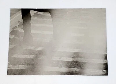 2016 The Walking Dead Season 4 Part 2 Silver Foil Z8 Reunion Puzzle #68/99 - Image 1 of 3