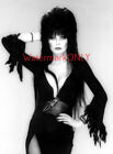 Cassandra Peterson "Elvira" "Mistress Of The Dark" Sexy "Pin-Up" Photo! #(107)