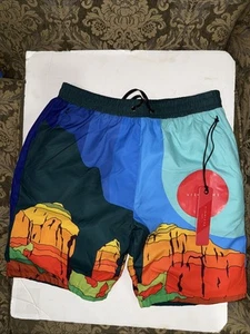 Men's VIE+RICHE Multi Color Wild Western Reversible Shorts Sz Large - Picture 1 of 12