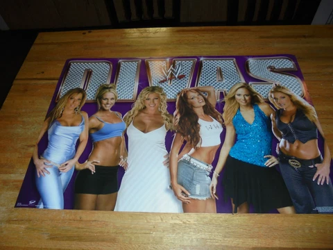 WWE 2005 Divas Poster 34 X 22 WWF Stacy Keibler Torrie Wilson Trish Stratus RARE Cover
