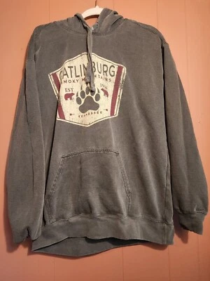 Комфорт цвета женщин L серый с капюшоном толстовка Gatlinburg дымчатые горы - Изображение 1 из 4