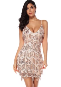 Womens Sequin Fringe 1920s Flapper Inspired Party Dance Dress - Picture 1 of 6