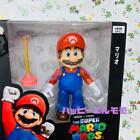 The Super Mario Bros Movie Action Figure from Japan
