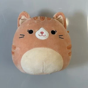 Squishmallow Gigi Orange Tabby Katze KellyToy Plüsch 5 Zoll - Bild 1 von 7