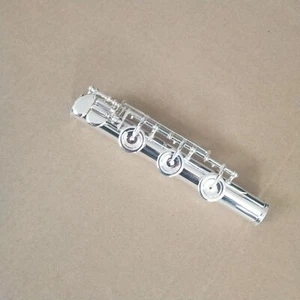 Flauta B Pie Diámetro Interior de la Junta de Cabeza 19.9mm Plateado - Imagen 1 de 1