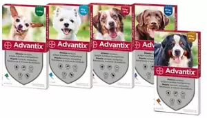 ADVANTIX¹ chien 1-60 kg protection externe parasite flea treatment 4 pipettes - Afbeelding 1 van 14