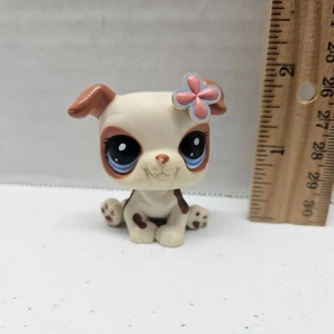 Littlest Pet Shop #2106 SITTING BULLDOG White Dog Blythe Jet - AUTHENTIC LPS - Picture 1 of 5