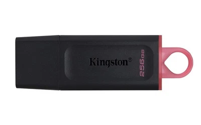 Kingston DataTraveler Exodia DTX/256GB Flash Drive USB 3.2 Gen 1 - with Protecti - Image 1 of 4