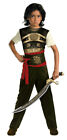 Boy's Prince of Persia Dastan Movie Classic Child Costume Medium 7-8