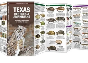 2023 Texas Reptilien & Amphibien: Ein faltbarer Taschenführer für vertraute Arten EUC - Bild 1 von 8