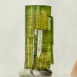 1.9g Green Yellow Tourmaline Crystal Natural Mineral Specimen Green Cap 19.1mm - Picture 1 of 11