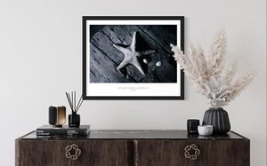Black & White Starfish Seashell Poster | Coastal Wall Art Print | Ocean Decor - Picture 1 of 16