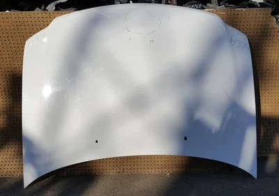 Ford F150 F-150 1997-2003 cubierta de panel de capó OEM H374 Foto 1 de 4