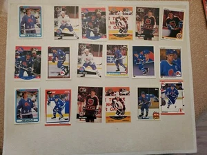 Joe Sakic Lote de 34 Cartas Avalanche Nordiques Buena Calidad y Valor Casi Nuevo/Como Nuevo - Imagen 1 de 2