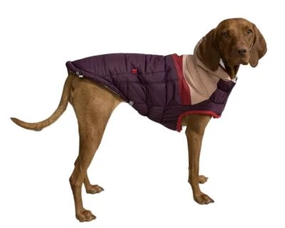 Hundemantel Wintermantel warm Hund Jacke GF Pet Trekking Parka XS - XXL lila