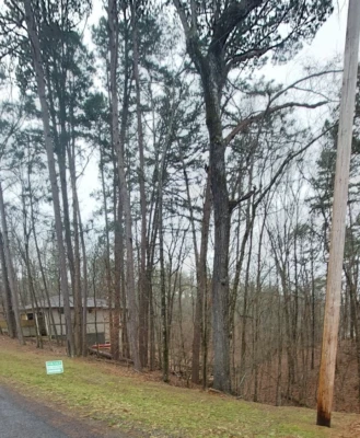 0.96 acre homesite Diamondhead Community - Image 1 of 4