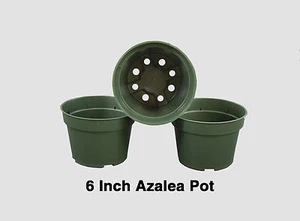 Vasi di Azalea 6" per Erbe, Fiori, Peperoni - Contenitori da Giardino Coltivazione - 352ct - Foto 1 di 3