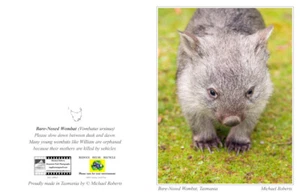 Bare-Nosed Wombat Greeting Card with Envelope (Blank Inside) - Picture 1 of 4