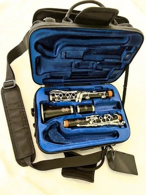 Clarinete Selmer Paris 1953 tono centrado - totalmente reformado - serie P5374 Foto 1 de 4