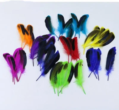 Duck Feathers Dyed Wild Duck Feathers 100pcs  - Image 1 of 4