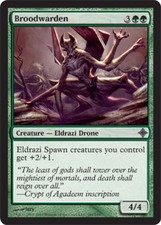 4x Broodwarden ~ Near Mint Rise of the Eldrazi MTG Magic x4 4 UltimateMTG Playse