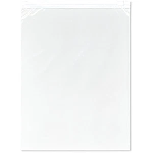 Plymor 9" x 12" (Box of 250), 2.7 Mil Slider Reclosable Plastic Bags - Picture 1 of 2