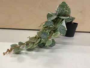 Ikea Fejka Artificial potted plant, in/outdoor hanging/String of hearts, 9 cm - Picture 1 of 3