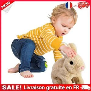fr Easter Realistic Bunny Plush Stuffed Bunny Gifts for Kids (Light Brown) - Photo 1/11