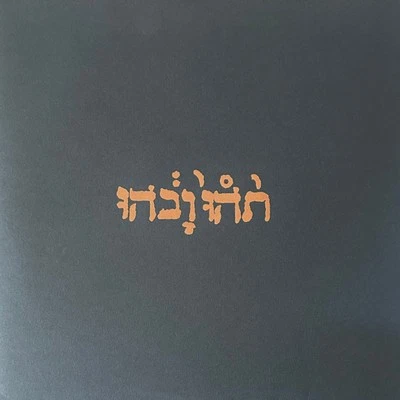 Godspeed You Black Emperor! - Slow Riot For New Zero Kanada E.P. (12") (Mint (M) - Immagine 1 di 4