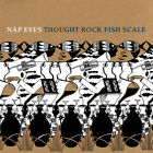 Thought Rock Fish Scale, New Music