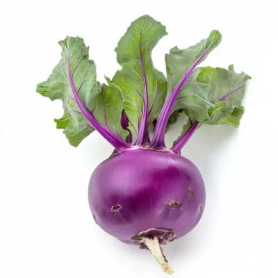 SEMISAUVAGE 300 Graines de Chou Rave Delicatess Violet