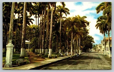 Postcard Costa Rica Limon Vargas Park 59T - Image 1 of 2