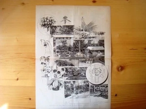 RIESIGE GRAVUR!! Die Blumenausstellung in Bologna von 1885 - Bild 1 von 1