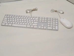 Teclado USB Apple A1243 delgado - con Mighty Mouse A1152 - SKU 11 - Imagen 1 de 5