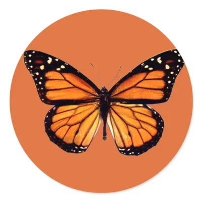 Оранжевый монарх бабочка крылья большой подвеска подвеска немецкое серебро 20» ожерелье - Изображение 1 из 4