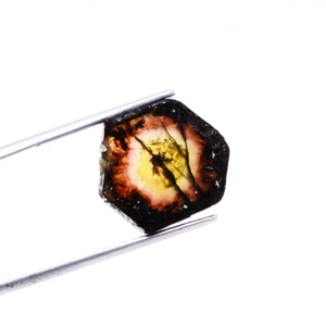 9.95 Cts Natural Bi Tourmaline Slice 17x15.5x3.5 MM-POLISHED RARE GEMSTONE! - Picture 1 of 6