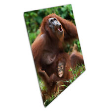 Orangutan Mother And Baby Natural Animal Wild Photography Indonesia Print Canvas