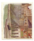 Historic Places From Dickens Classics Card R & J Hill #24 Wapping Old Stairs