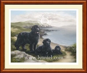 NEWFOUNDLAND Newfie dog art print 'Eventide' - Picture 1 of 1