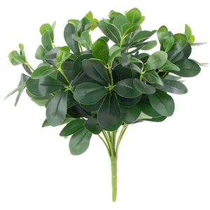 Northlight 18" Decorative Artificial Green Two Tone Polyscias Floral Bush - Picture 1 of 4
