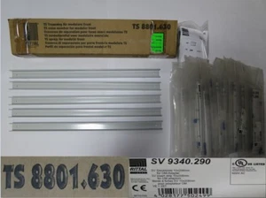 Separatore Rittal per anteriore modulare TS 8801.630 + SV 9340.280 29-1 #4089 - Foto 1 di 1