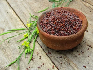 Black Mustard Seeds Pure Organic Natural Spice Ceylon High Quality - Picture 1 of 4