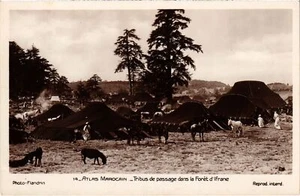 CPA Atlas - Tribus de Passage dans la Foret d'Ifrane MAROKKO (1416184) - Bild 1 von 2