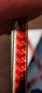 Sergeant Preston Yukon Vindication of King 8mm Movie Film Reel Vintage ColorSnd - Picture 1 of 2