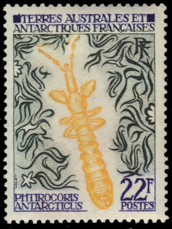 FRENCH ANTARCTICA 47 - Insects "Phtirocoris antarcticus" (pb32280) FSAT - Image 1 of 1