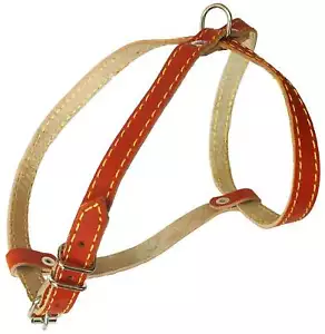 Hundegeschirr aus echtem Leder, 12""-16"" Brustumfang 1/2"" breit, Yorkshire Terrier, Pommerschan - Bild 1 von 1