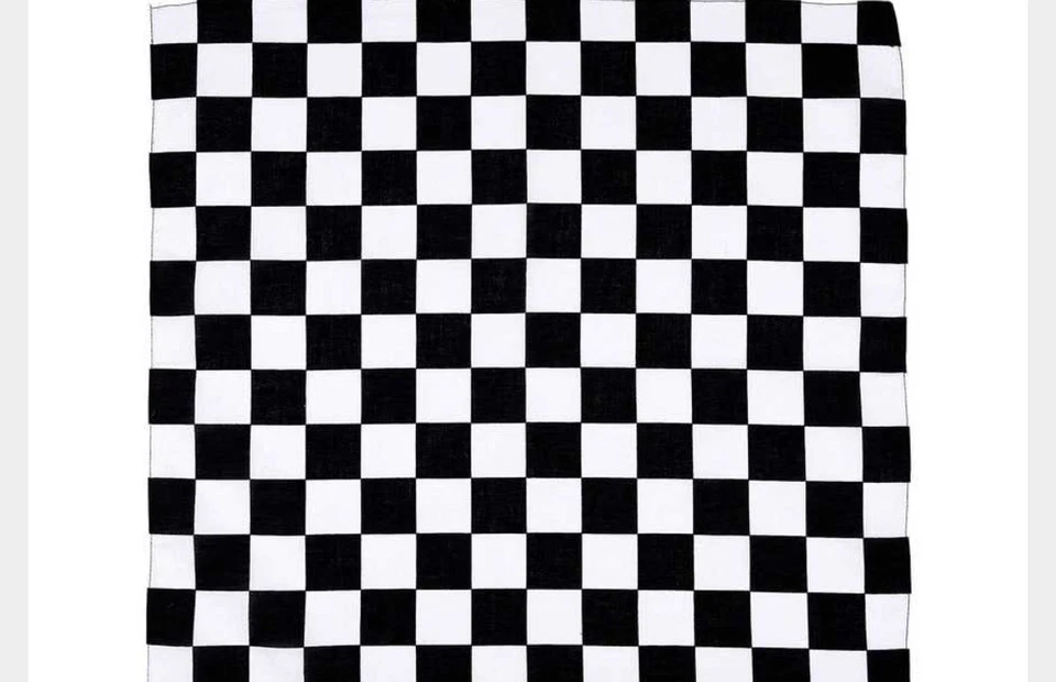 Printed Bandanas 22x22 Various Styles! New - Image 1 of 1