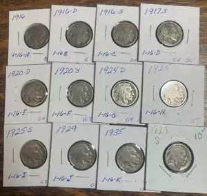 1916 - 1935 BUFFALO NICKEL HERD- 12 coins - Picture 1 of 15