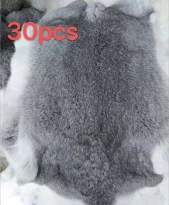 30x Piel de Conejo Natural Genuina Piel Artesanía Grado Piel Artesanía Decoración Nuevo Foto 1 de 4